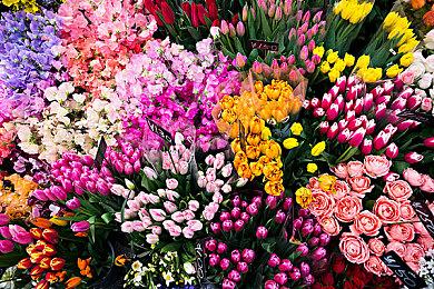 Rockstar宣布《GTA OL》月付费会员服务GTA+