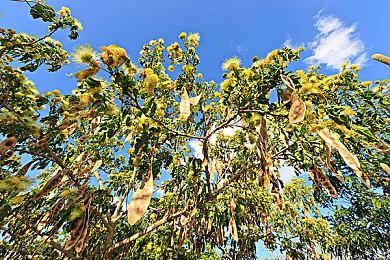 《黑神话：悟空》赢得IGN 2024年人民选择奖