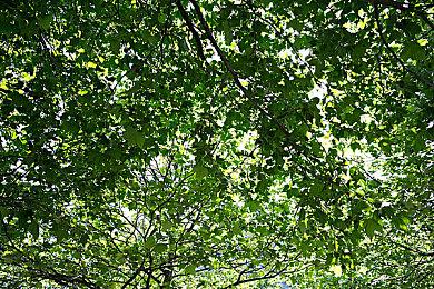 《热血少女2》即将发售公布霹雳舞角色演示视频